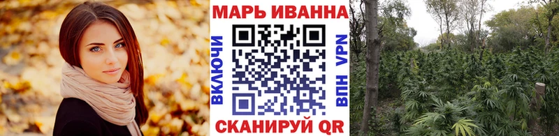 Марихуана сатива  Купить закладки  Североморск 